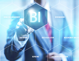 Business Intelligence & Analysis, MIS