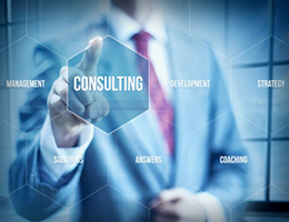 Management Consulting