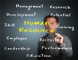 Human Resource Mgmt. Consulting