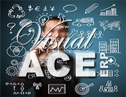 Visual ACE Enterprise Business Management Software