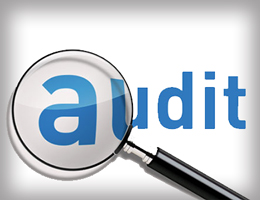 Audit & Assurance Services